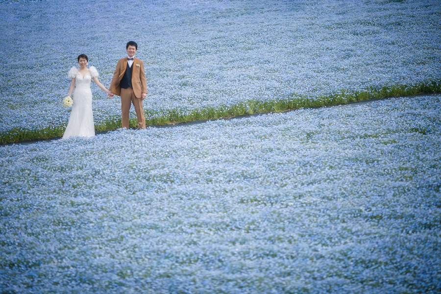 ウェディング前撮り　志摩観光農園ネモフィラ畑の中にいる二人