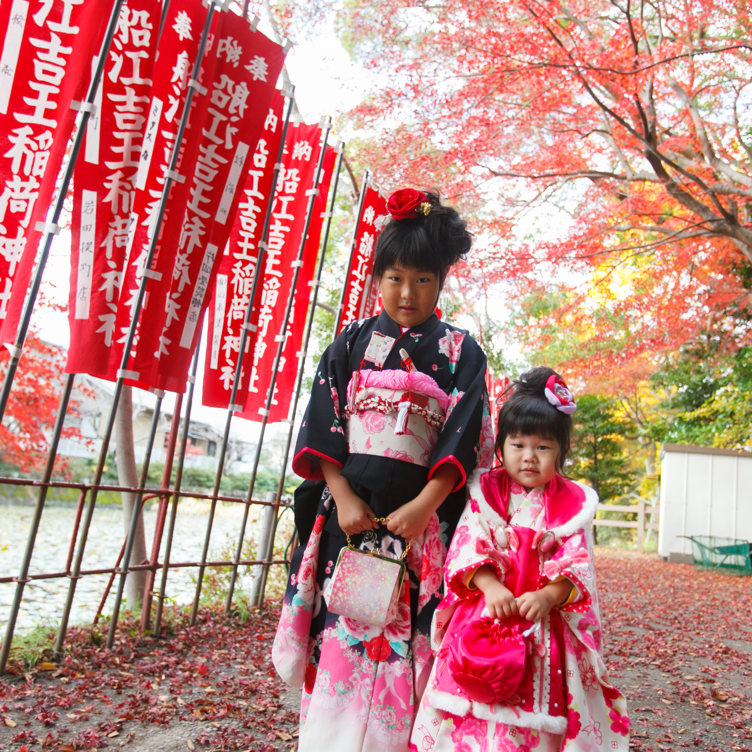 神社での七五三着物着た姉妹　紅葉の時期に