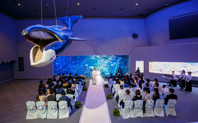 鳥羽水族館挙式全景写真　水槽前にて