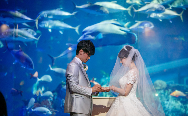 鳥羽水族館挙式 水槽前で 誓いの指輪交換