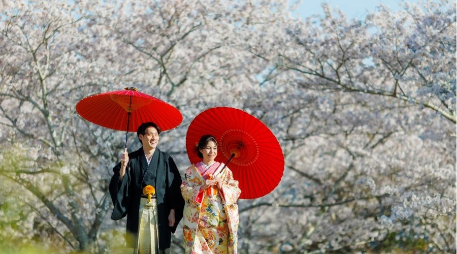 桜をバックに和装の新郎新婦　赤い傘を持って