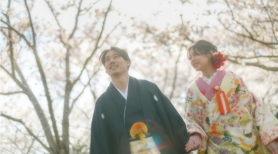 和装の新郎新婦　桜の木の下で