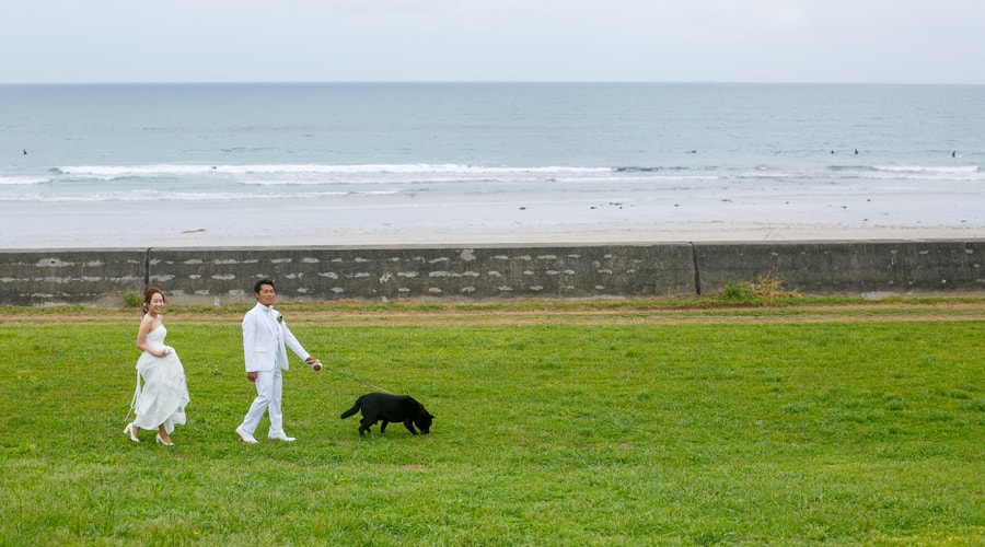 海岸にて　犬の散歩をするタキシードの新郎とドレスの新婦