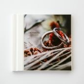 ストーリー50P 表紙イメージ写真