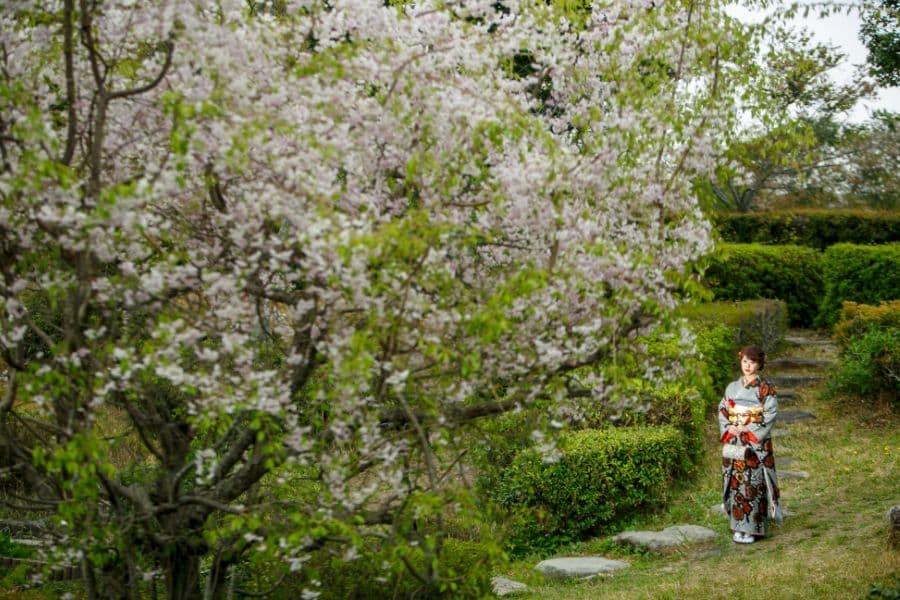成人式前撮り　桜のある庭園にて